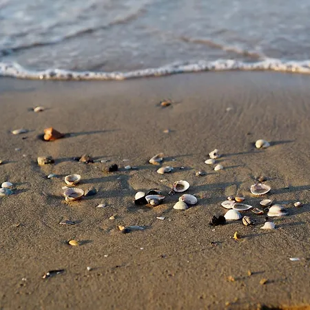 Perfect Flat With Large Terrace Apartment Bibione