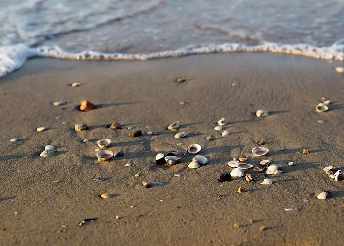 Perfect Flat With Large Terrace Apartment Bibione